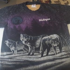 Washington at Night, San Segal, Anvil T shirt